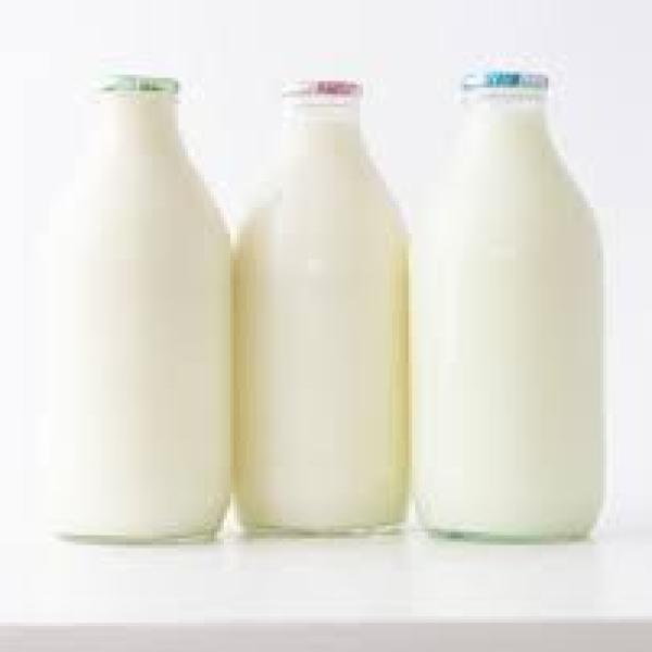 Milk Organic